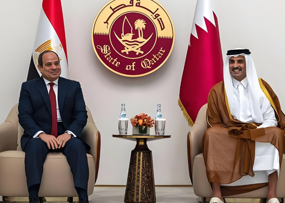 埃及政府携手工商界出重拳 埃及发起降低商品价格的全国性倡议