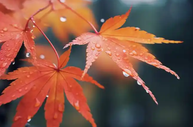 立秋后首场强降雨登场 12省暴雨4省大暴雨10日最强 立秋后首场强降雨登场 12省暴雨4省大暴雨10日最强