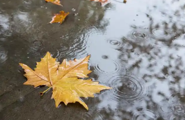 立秋后首场强降雨登场 12省暴雨4省大暴雨10日最强 立秋后首场强降雨登场 12省暴雨4省大暴雨10日最强