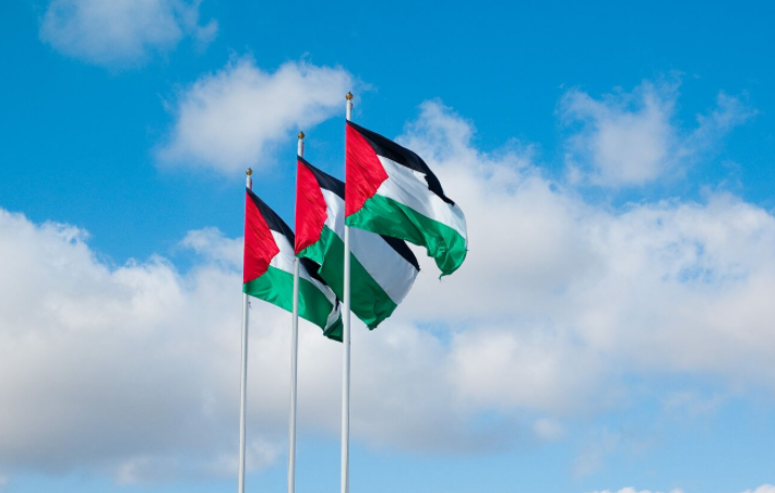 2025年一季度巴勒斯坦实际GDP初值同比增长9.1%