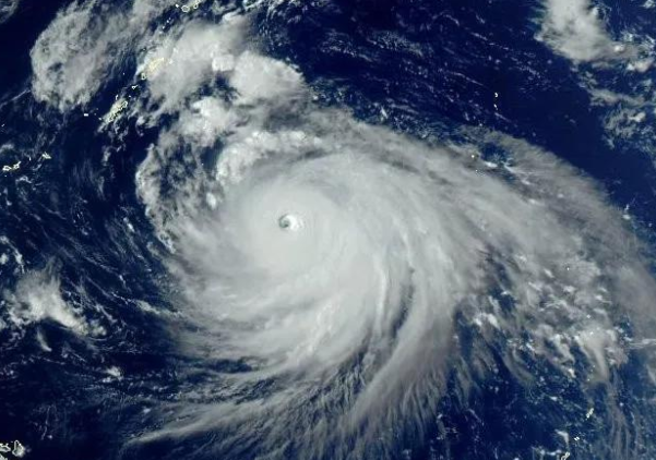 2025第11号台风“杨柳”生成!强度逐渐增强路径预报图来了