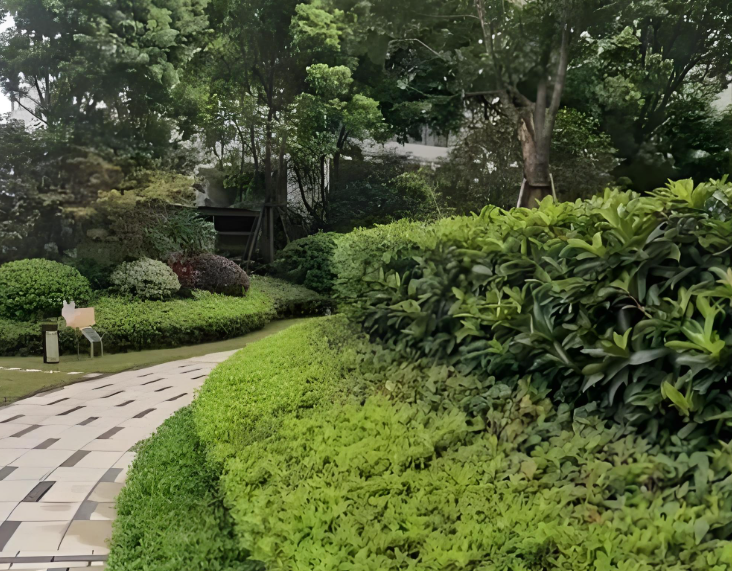 女子35层坠楼奇迹生还？ 湖南27岁女子从35楼坠落经救治竟奇迹生还