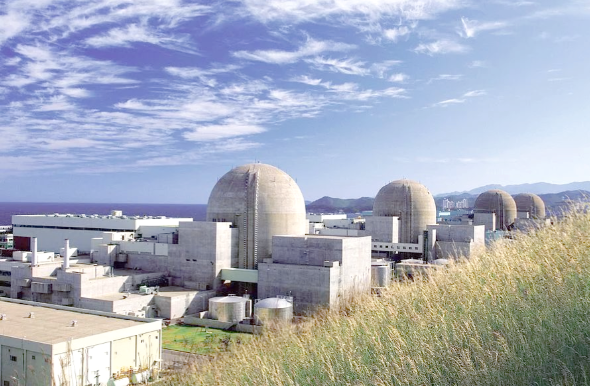 法国最大核电站因水母入侵导致停运 水母入侵为什么能影响核电站运行 法国最大核电站因水母入侵导致停运 水母入侵为什么能影响核电站运行