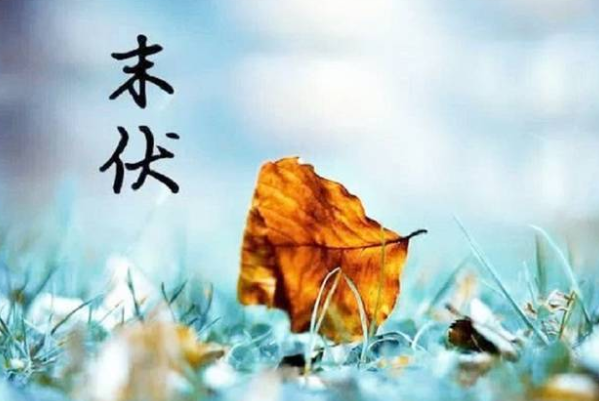 末伏秋老虎如何安全出伏?应对秋老虎有妙招过好这五关 末伏秋老虎如何安全出伏?应对秋老虎有妙招过好这五关