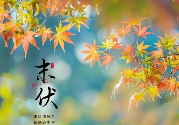 末伏秋老虎如何安全出伏?应对秋老虎有妙招过好这五关 末伏秋老虎如何安全出伏?应对秋老虎有妙招过好这五关