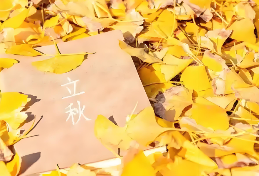 立秋养生正当时!立秋后这样做远离呼吸道疾病 ! 立秋养生正当时!立秋后这样做远离呼吸道疾病 !