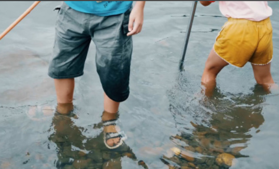 男童打水仗感染食脑虫&nbsp;食脑虫分布在我国哪些水域？