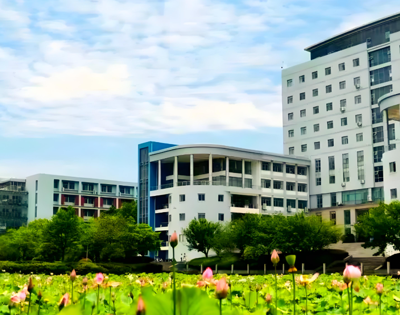 为什么很多大学的高考录取数据要等到第二年才能公布？高考录取数据要等到第二年的原因分析！