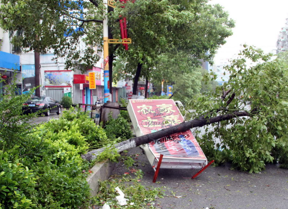 中央气象台对台风“杨柳”停止编号 台风“杨柳”预计造成了多少经济损失