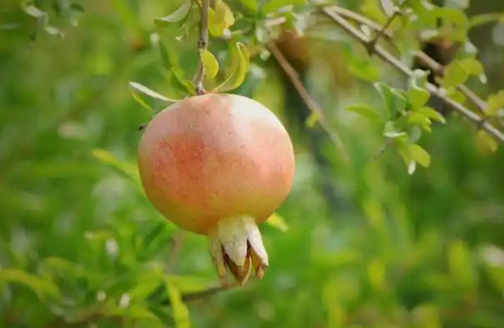 今日出伏三伏天正式结束 一年里最“凶险”的36天来了