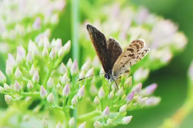 今日出伏三伏天正式结束 一年里最“凶险”的36天来了