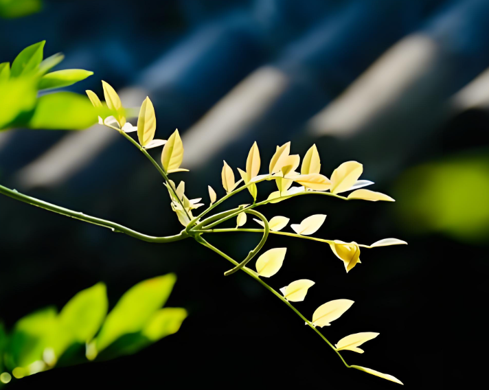 今日出伏 三伏天正式结束!什么!出伏还有这些讲究?