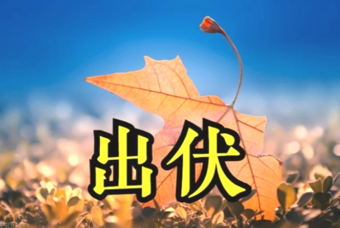 今日出伏三伏天正式结束 出伏后温差拉大这五件事不宜做 今日出伏三伏天正式结束 出伏后温差拉大这五件事不宜做