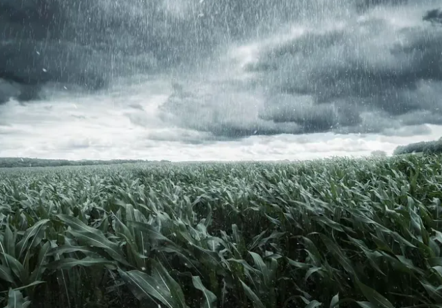 北京三预警齐发暴雨大风积水内涝 北京未来天气具体如何?