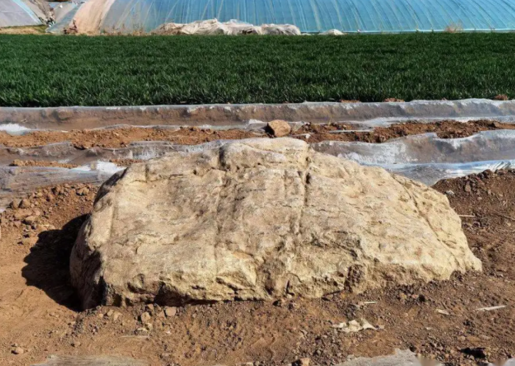 “全国最矮的山”火了 高0.6米的山就在山东 “全国最矮的山”火了 高0.6米的山就在山东