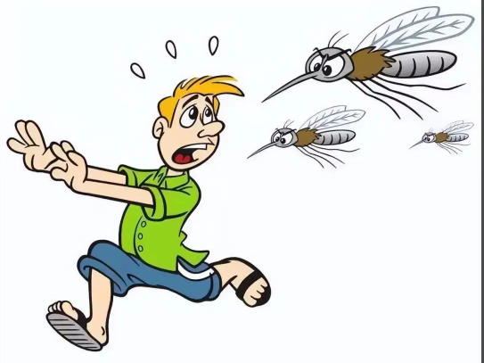 全球“最毒”的蚊子为何批量北上 气温升高让蚊子的分布范围扩大