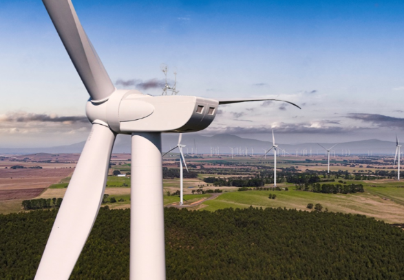 历史性一幕特朗普对风车宣战了 特朗普宣称风力发电和太阳能发电是骗局