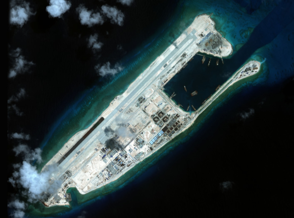 全球最古老海洋哺乳动物现身南海 永暑礁海域首次发现儒艮的持续活动踪迹 全球最古老海洋哺乳动物现身南海 永暑礁海域首次发现儒艮的持续活动踪迹