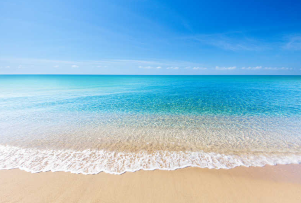 6岁娃沙滩光脚踩到死鱼进了ICU 系感染创伤弧菌