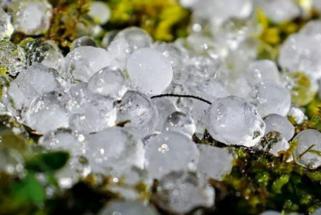 39度大热天杭州居然下冰雹了 高温还下冰雹收下这份防护指南