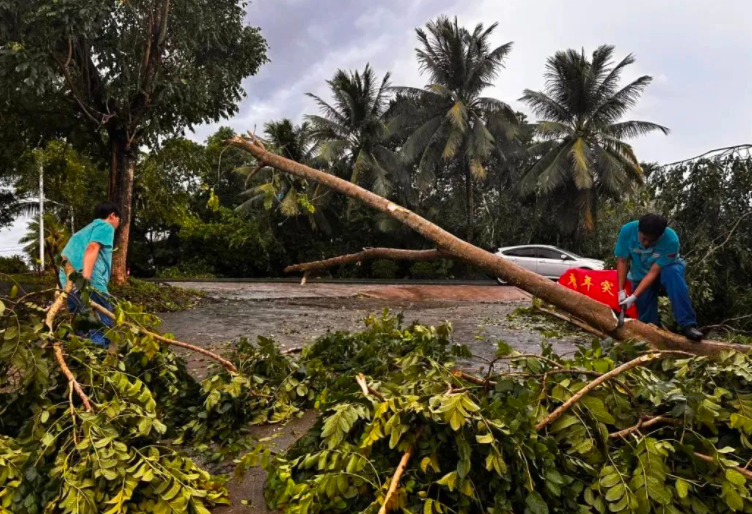 2025年秋台风为何扎堆生成?秋台风最爱在哪儿上岸? 2025年秋台风为何扎堆生成?秋台风最爱在哪儿上岸?