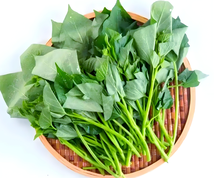 秋天中老年人要多吃红薯叶!红薯叶叶酸是芹菜24倍,常吃强壮筋骨身体好! 秋天中老年人要多吃红薯叶!红薯叶叶酸是芹菜24倍,常吃强壮筋骨身体好!