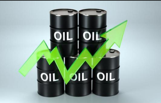 中国炼油商扩大采购俄罗斯原油,填补印度市场缺口 中国炼油商扩大采购俄罗斯原油,填补印度市场缺口