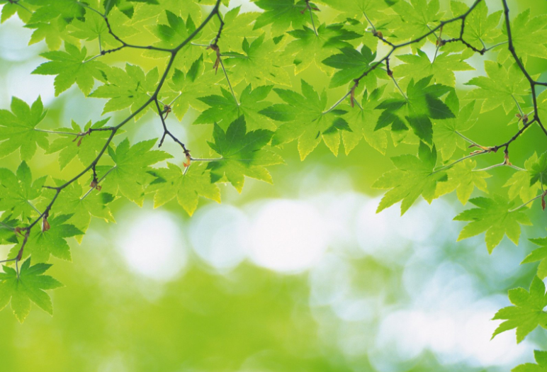 手机护不护眼为何都在看黑条(手机护眼模式到底护不护眼) 手机护不护眼为何都在看黑条(手机护眼模式到底护不护眼)