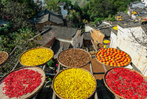 2025秋季旅行色彩的盛宴 秋季错峰游“黄金期”开启