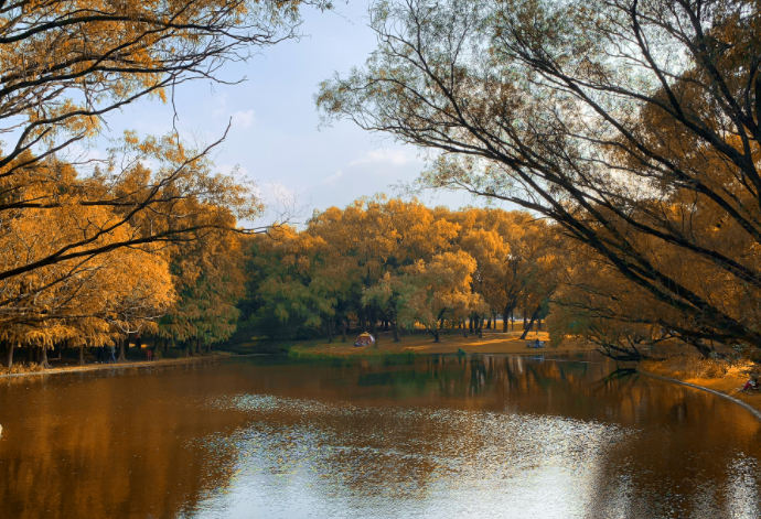 2025秋季旅行色彩的盛宴 秋季错峰游“黄金期”开启