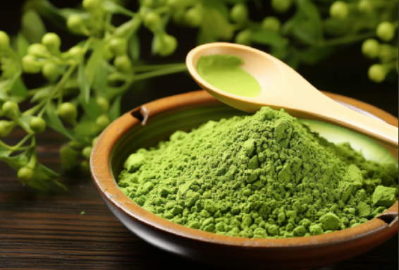 贵州小县城让抹茶快没日本什么事了 预计2026年贵州抹茶产量将成为世界第一 贵州小县城让抹茶快没日本什么事了 预计2026年贵州抹茶产量将成为世界第一