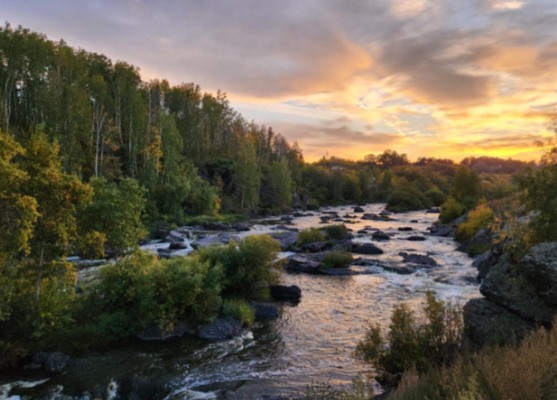 普京称将回应中国对俄试行免签 若中俄互免签证对经济发展有什么好处 普京称将回应中国对俄试行免签 若中俄互免签证对经济发展有什么好处