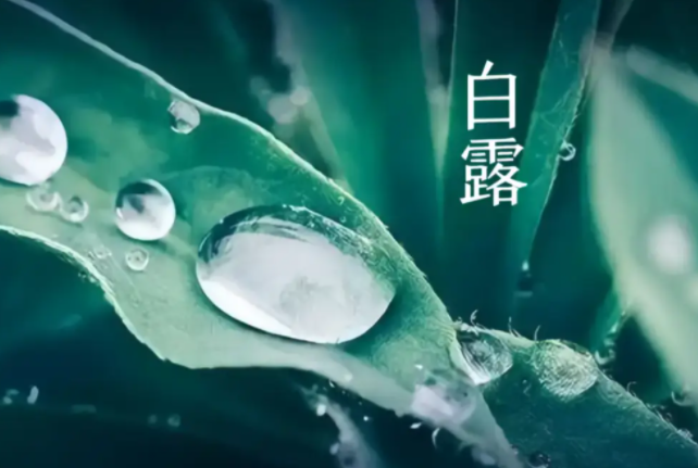 昨日寒露已至 秋三月早起早卧 昨日寒露已至 秋三月早起早卧