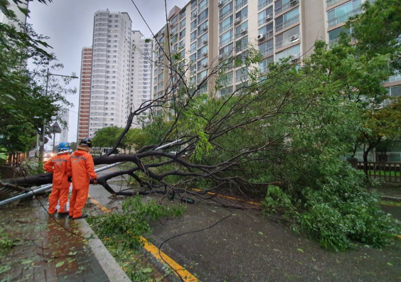 台风“塔巴”在广东台山市登陆 多地停航、停运、停课、关闭景区 台风“塔巴”在广东台山市登陆 多地停航、停运、停课、关闭景区