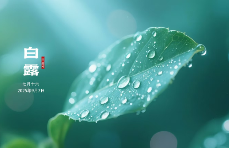 昨日寒露已至 秋三月早起早卧 昨日寒露已至 秋三月早起早卧