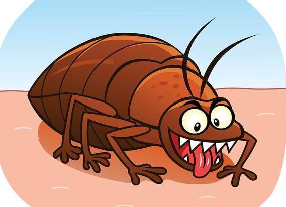 河南多地惊现南方会飞大蟑螂 南方的美洲大蠊为何频繁出现在北方 河南多地惊现南方会飞大蟑螂 南方的美洲大蠊为何频繁出现在北方