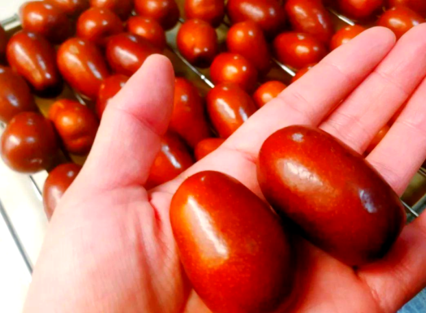 秋天能做醉枣吗 北方醉枣的正确方法是怎么样的