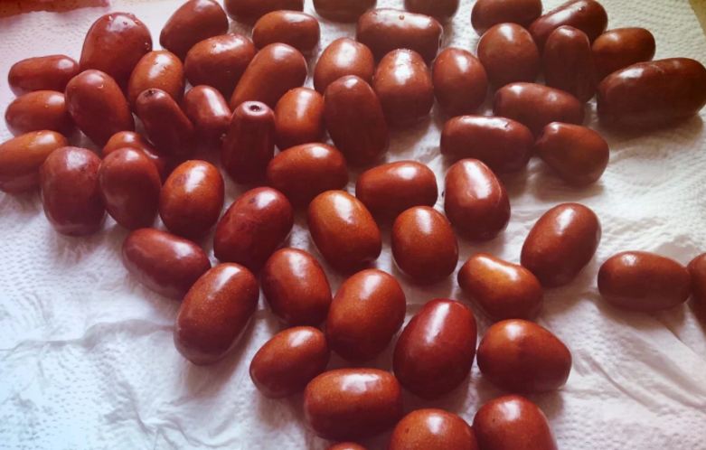 秋天能做醉枣吗 北方醉枣的正确方法是怎么样的