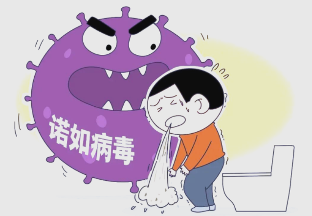 诺如病毒可以喝电解质水吗 诺如病毒可以喝淡盐水吗 诺如病毒可以喝电解质水吗 诺如病毒可以喝淡盐水吗