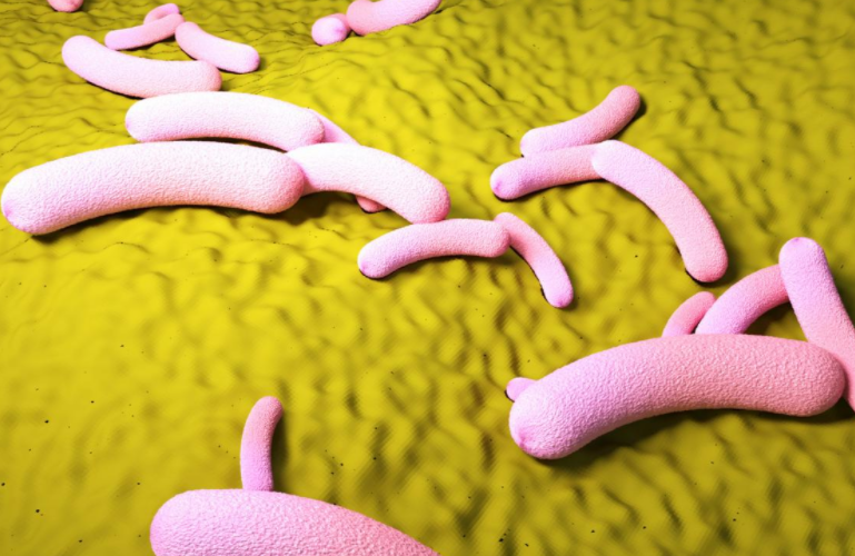 中国约7亿人感染幽门螺旋杆菌(幽门螺旋杆菌怎么除才干净)