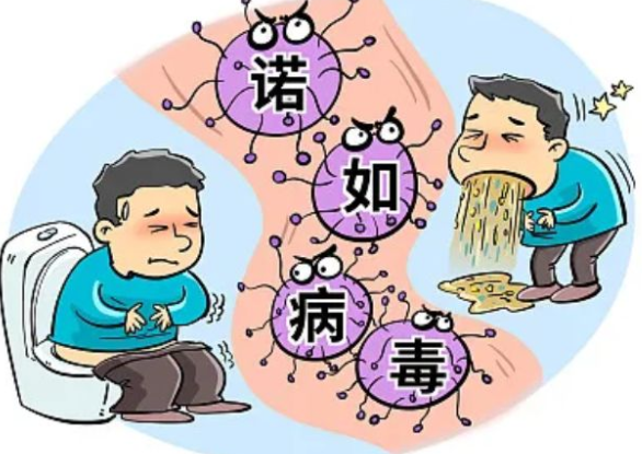 诺如病毒可以喝电解质水吗 诺如病毒可以喝淡盐水吗 诺如病毒可以喝电解质水吗 诺如病毒可以喝淡盐水吗