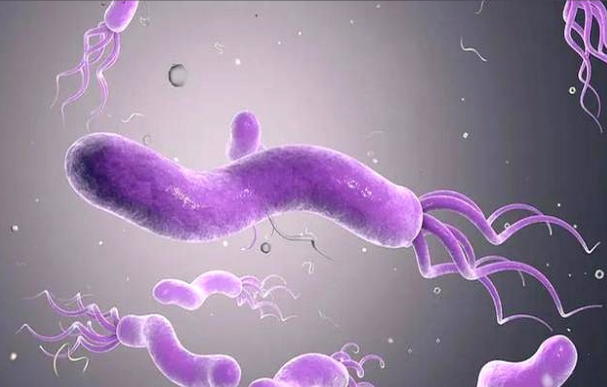 中国约7亿人感染幽门螺旋杆菌(幽门螺旋杆菌怎么除才干净)