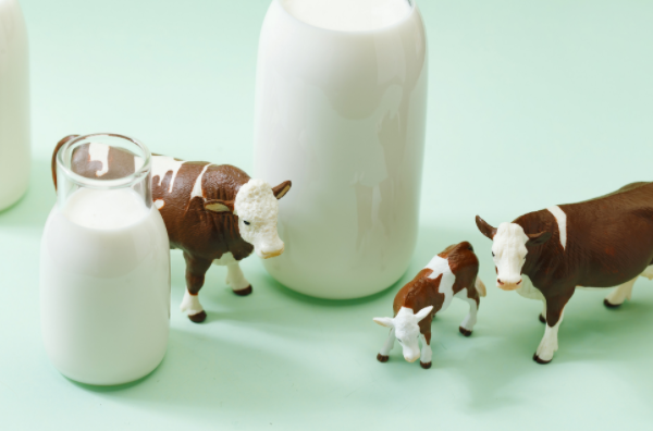 牛奶摇一摇变绿还能喝吗 牛奶摇晃会变质吗