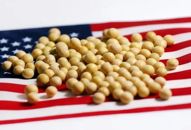 中美贸易僵局致美国大豆销售大降 美豆商或将损失数十亿美元 中美贸易僵局致美国大豆销售大降 美豆商或将损失数十亿美元