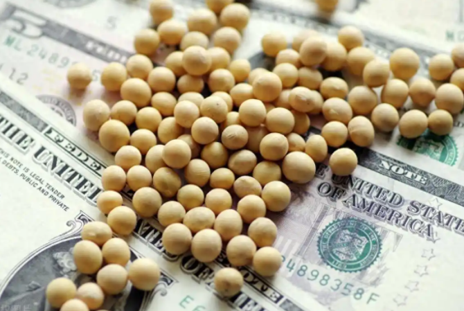 中美贸易僵局致美国大豆销售大降 美豆商或将损失数十亿美元 中美贸易僵局致美国大豆销售大降 美豆商或将损失数十亿美元