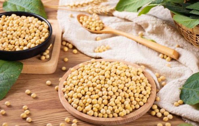 我国森林食物年产量已突破2亿吨 茶油年产量超过100万吨