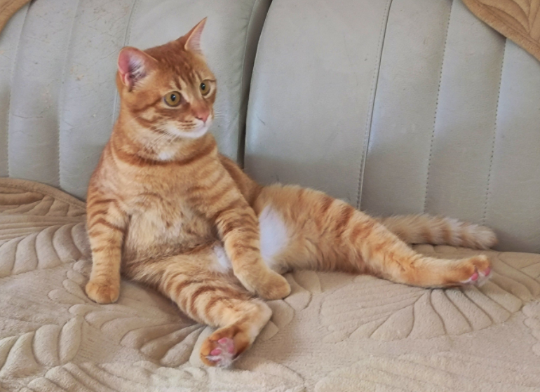 跷二郎腿是不健康的坐姿吗?4个步骤帮你找到健康坐姿