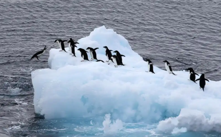 世界最大冰山再次发生大规模断裂 世界最大冰山A23a位于哪里?