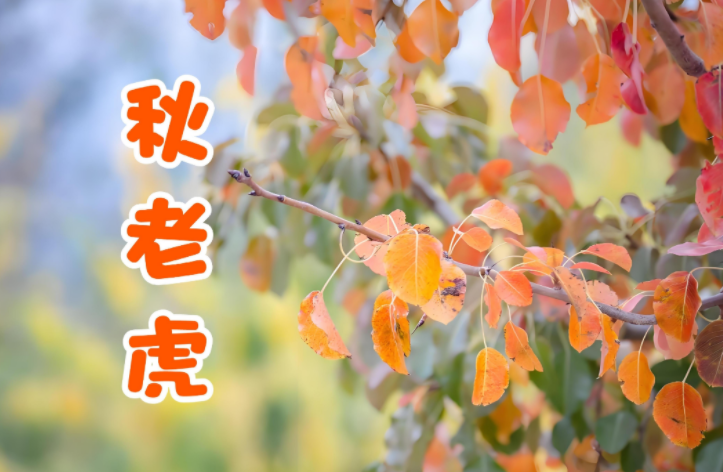 秋老虎返场今起升温!武汉再发高温预警要热到啥时候?