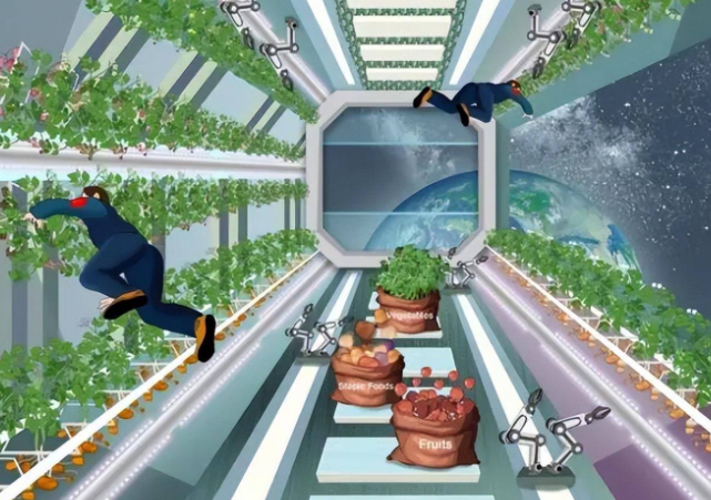 天舟九号上太空菜园迎来丰收 太空菜园种了哪些菜?